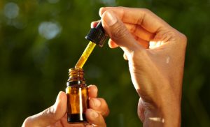 how long does cbd stay in your system - CBD oil
