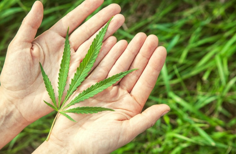 countries where marijuana is legal