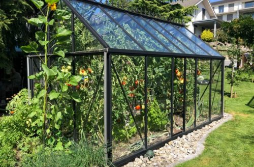Things That Are Good in Your Home Garden - A Greenhouse