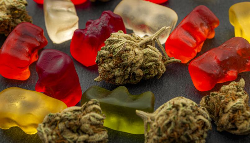 Why Should You Consume Only Vegan CBD Gummies