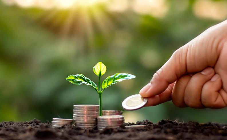 How Working Professionals Can Boost Their Finances