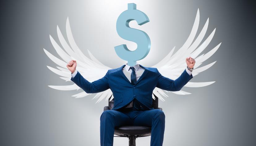 what is Angel Investment