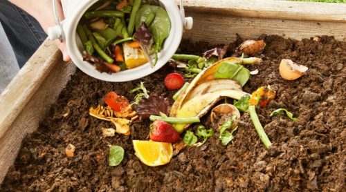 Consider Composting