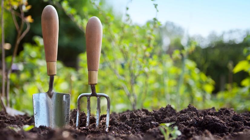 A Detailed & Thorough Guide to Turn Your Overgrown Garden Into An Oasis Guide to Turn Your Overgrown Garden Into An Oasis