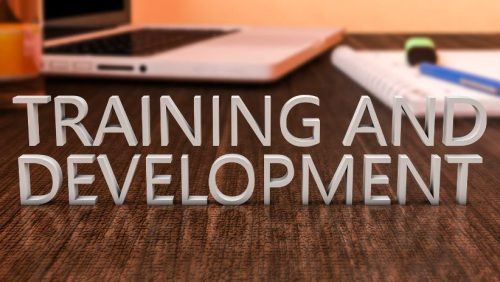 Training and Skill Development for Project Teams