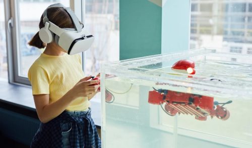 What is the Future of TechInsiderz.com